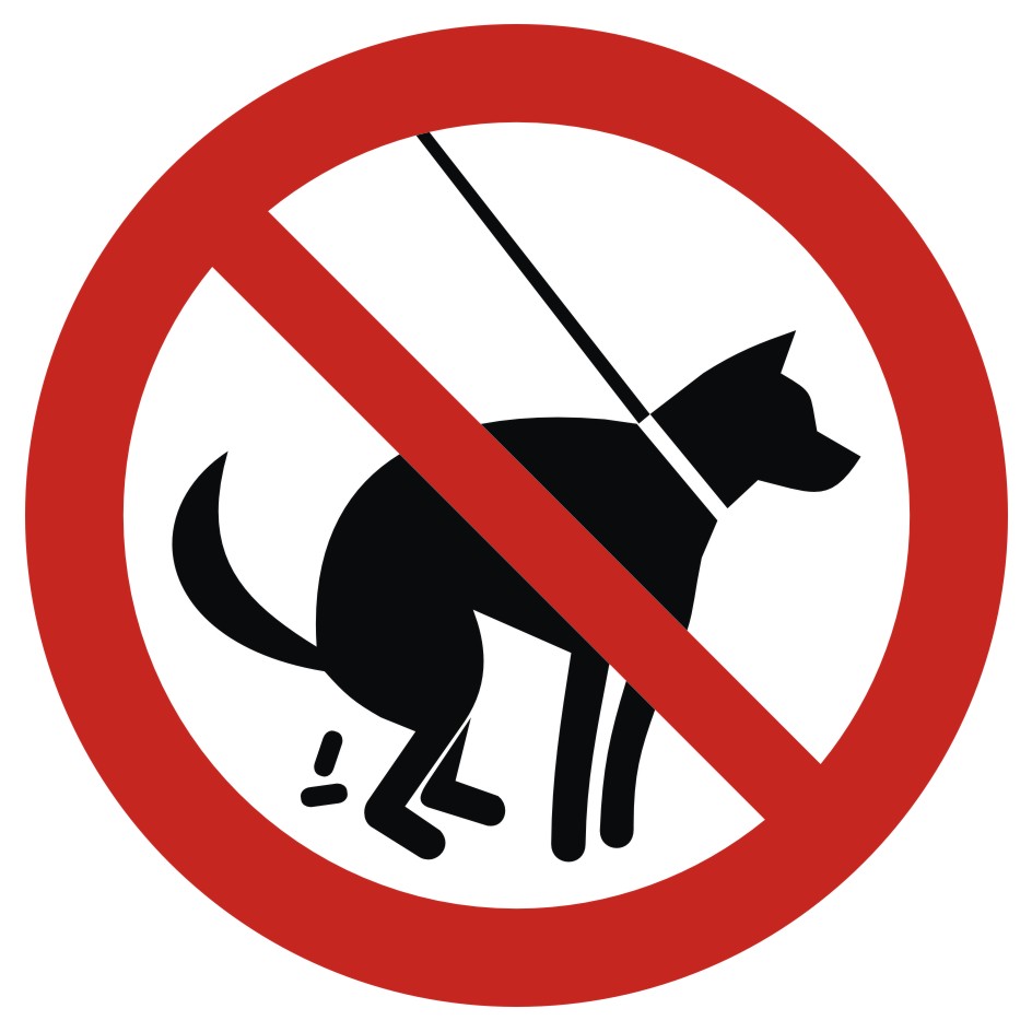 Zakaz wyprowadzania psów