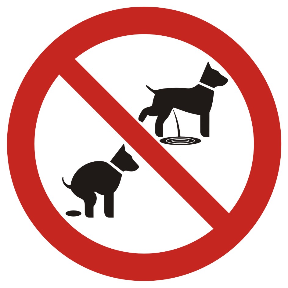 Zakaz wyprowadzania psów 2