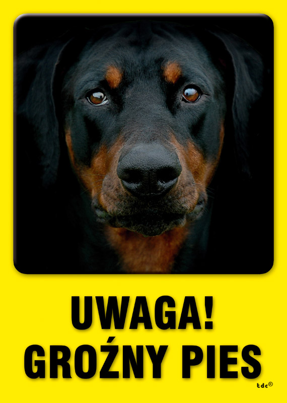 UWAGA! Groźny pies 4