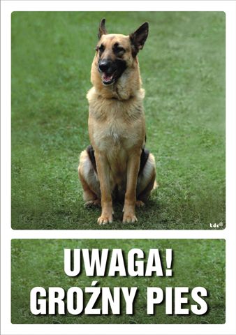 UWAGA! Groźny pies 5